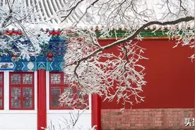 北大与故宫！最美雪景年终巨献！图片