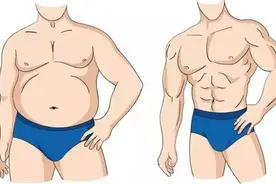 吴亦凡还有多少谎言？“没有脂肪就没有肌肉”图片