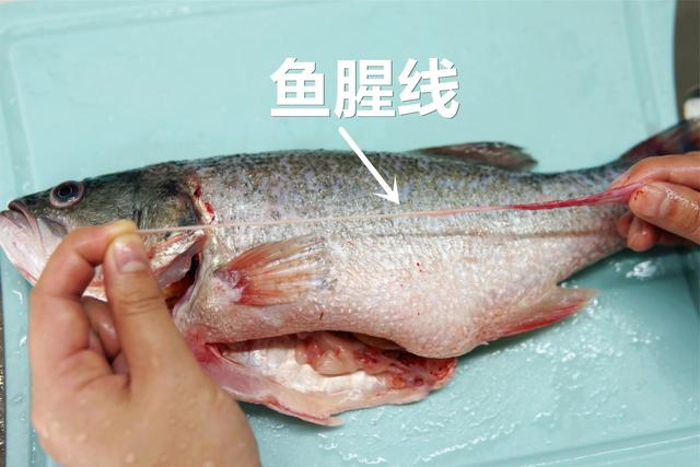 给鱼去腥，抽“鱼腥线”是不对的，记住处理4个真正腥味大的地方