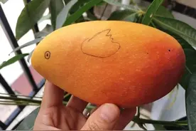 夏天，爱吃芒果的要留意，现在知道还不晚，看了告诉身边的人图片