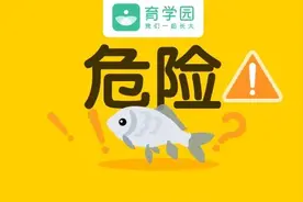 吃了一口鱼，娃进了抢救室！鱼肉虽好，但这4大部位一定不能吃图片