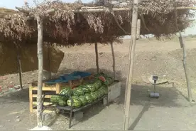 生产队特殊人物之瓜把式图片