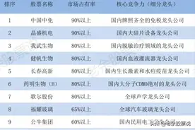 未来最有望翻数倍的十五大垄断性公司全面解读下部分图片