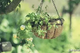 深夜，不要轻易找人聊天图片