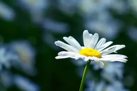 一个人在祸事来临之前，往往会有以下几种不好的征兆图片
