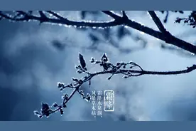 两首霜降诗词，张继这首诗影响有多大？毛宁的这首歌来源于此诗图片