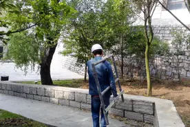 农民工天天干活锻炼，为何没有强健的体魄，反而腰腿疼痛图片