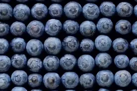 “超级水果”蓝莓的挑选、保存、清洗和食用攻略，不收藏对不起你花的银子图片