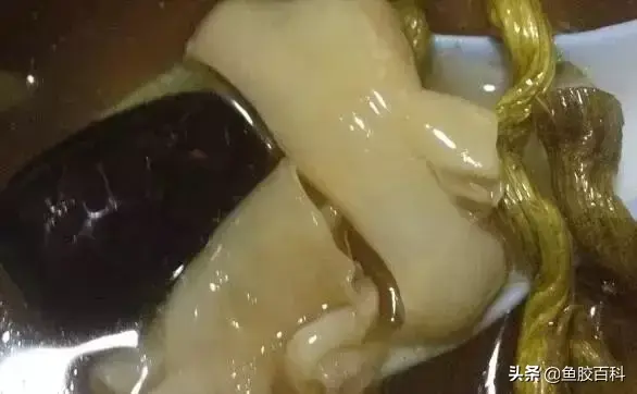 花胶竹笙排骨汤 2026年花胶竹荪煲汤的做法大全