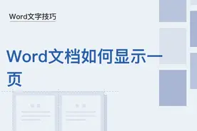 文字技巧—Word文档如何显示一页图片