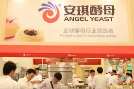 发酵之母安琪详细分析图片