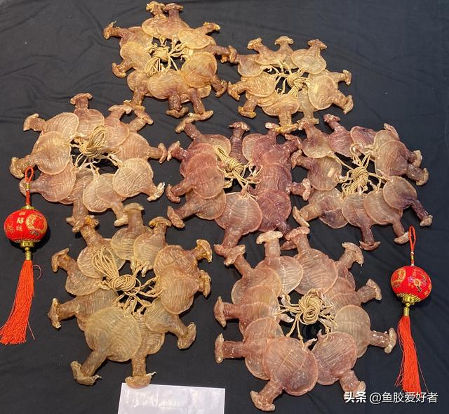 花胶炖了没胶 2026年花胶煲出来没胶