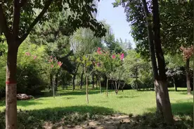 《新华字典》最新版，凡例乱象仍未免图片