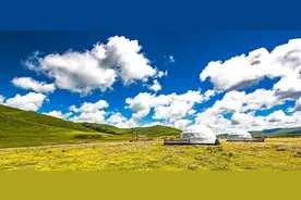 恋爱的本质是一种“感情”交换，而婚姻的本质是一种“价值”交换图片