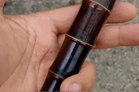 “甘蔗”也能盘？包浆黑里透红的漂亮，你不玩一根吗？图片