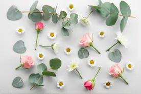 射手座：人前嘻嘻哈哈，内心却隐藏着许多别样的情感图片