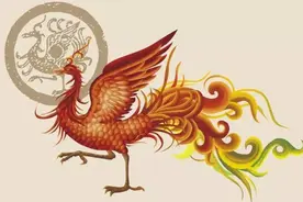 朱雀、凤凰和不死鸟图片