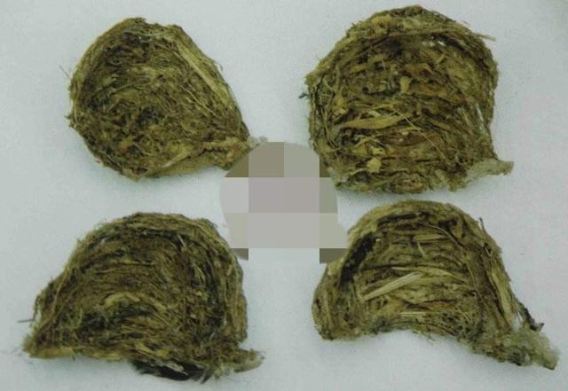 燕窝品种 2026年燕窝品种分类