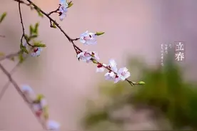 俗语‘年前立春过年暖，春节立春二月寒’，今年过年冷不冷？图片