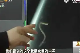 村民自来水里惊现“白虫”，专家实验，“白虫”究竟是啥？视频封面