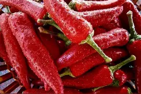 为什么大部分广东人都不能吃辣？图片