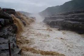 黄河鲤鱼的困局：30年单价飙升百倍，从年获万斤直至无鱼可捕图片