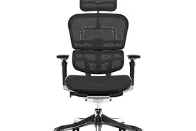 人体工学椅/电脑椅/办公椅高性价比选购推荐（2020年9月）图片