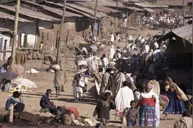 非洲人为何普遍比较懒？看这遍地都是的面包树，突然就理解了他们图片