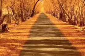 短线1到60分钟的应用级别图片