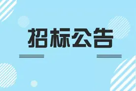 快看！雄东片区最新消息图片