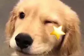 这些梗你知道多少？图片