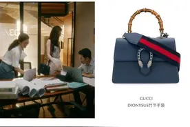 《流金岁月》中朱锁锁背过的14款包包，职场熟女的最佳借鉴单品图片