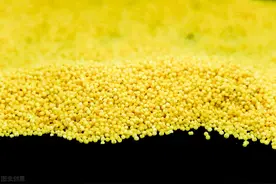 买小米时，选深黄色的还是浅色的？牢记挑选3步骤，小米更香浓图片