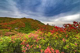 想你了，好想你，等你途经我的世界，盼你回到我的身边图片