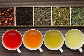 喝茶人最想问的二十个问题图片