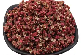 中药古今研究：花椒图片