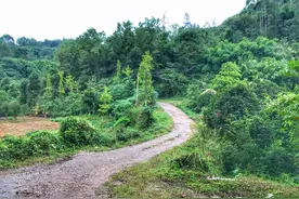 成都与世隔绝的仙山道观，路况虽差却风景极好，外界几乎还无人知图片