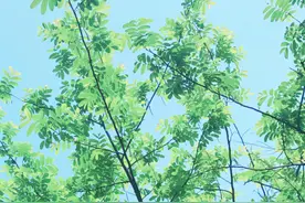 对待追求完美的处女座，哪些方法可以让他们放弃原则？图片