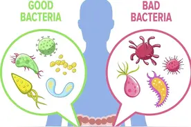 两分钟带你了解益生菌三种你不知道的用途图片