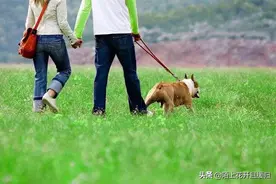 农村里有“添丁不添狗”的说法，新婚家庭尤其要注意图片