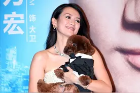 章子怡太过用力，穿抹胸裙踩驴蹄鞋强凹气场，仍比王力宏矮一截图片