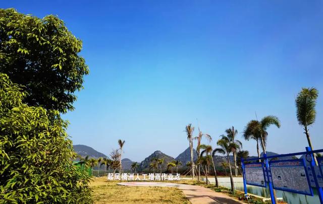 中国沃柑看武鸣！底气为何这么足？