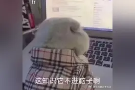 南京一女子收到两次反诈提醒，结果还是被骗图片