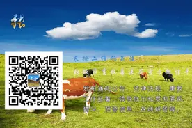 【技能科普】母猪有了寄生虫病怎么办？怎么治疗？图片
