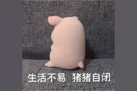表情包：生活不易，猪猪自闭图片