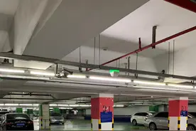 从浦东机场回新西兰一路心酸！图片