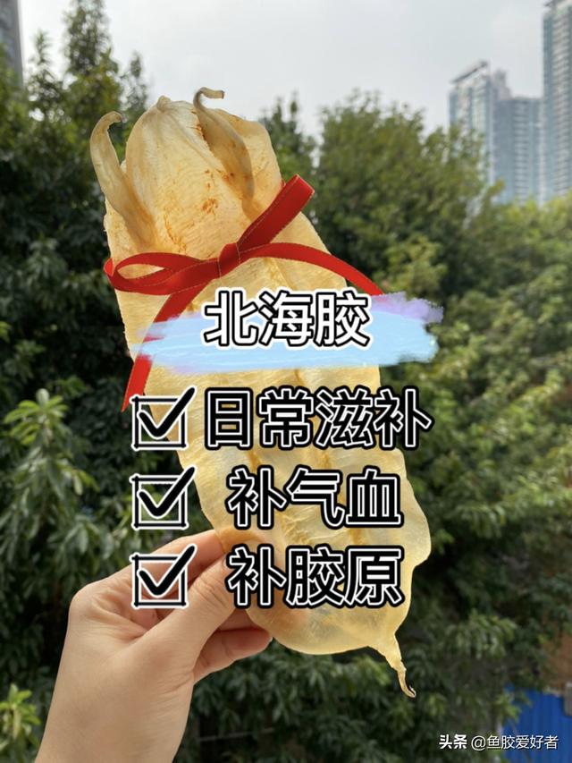 北海鱼胶的营养价值及功效 2026年北海鱼胶的功效及吃法