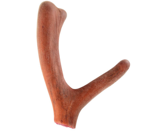 吃了鹿茸第二天可以吃花胶吗 2026年吃了鹿茸后能吃花生吗