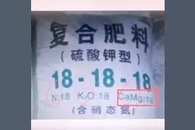 真假化肥一招现原形图片