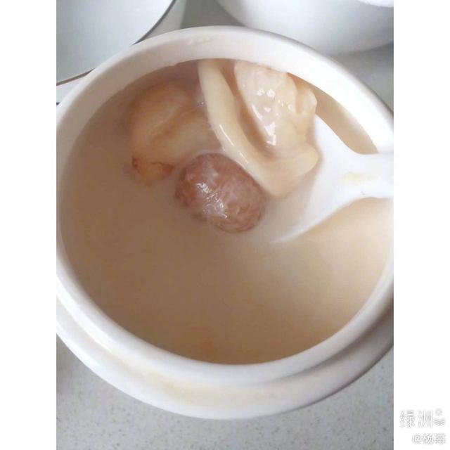 花胶排骨虫草花红枣 2026年花胶虫草排骨汤做法与功效